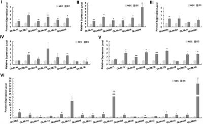 Genome-wide Characterization of the JmjC Domain-Containing Histone Demethylase Gene Family Reveals GhJMJ24 and GhJMJ49 Involving in Somatic Embryogenesis Process in Cotton